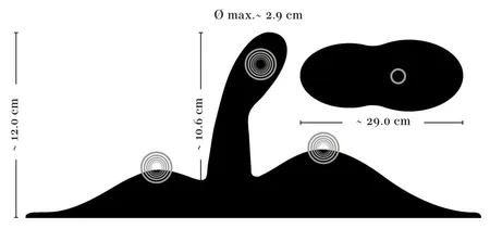 Vibracioni tuš sa Orion vibepad motorima sa daljinskim upravljačem on