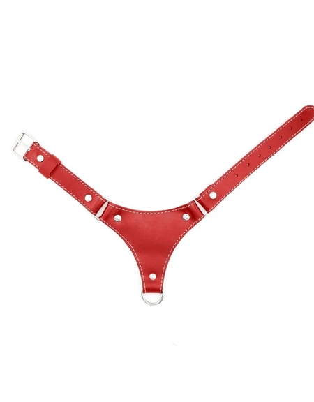 Kopija proizvoda ogrlica sa povodcem bdsm Erotic 18+