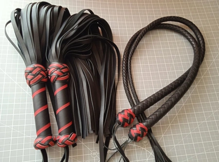 Parni flogeri i zmije