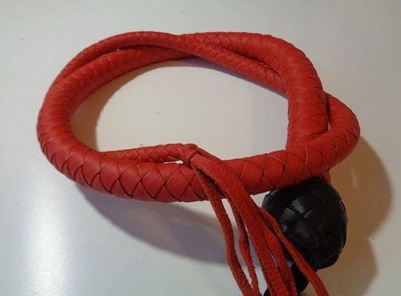 Pletenica: zmija Crveni Zmaj