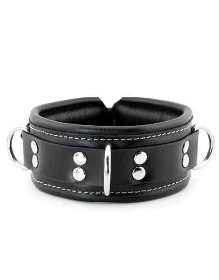 Premium ovratnik je mekan sa povodcem i kukama za lisice