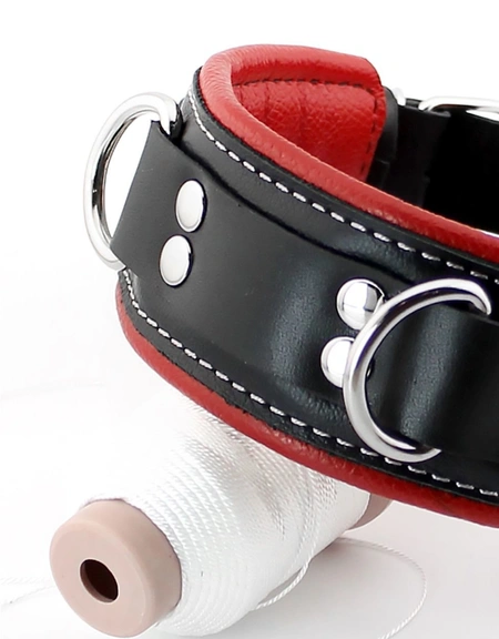 Premium ovratnik je mekan sa povodcem i kukama za lisice