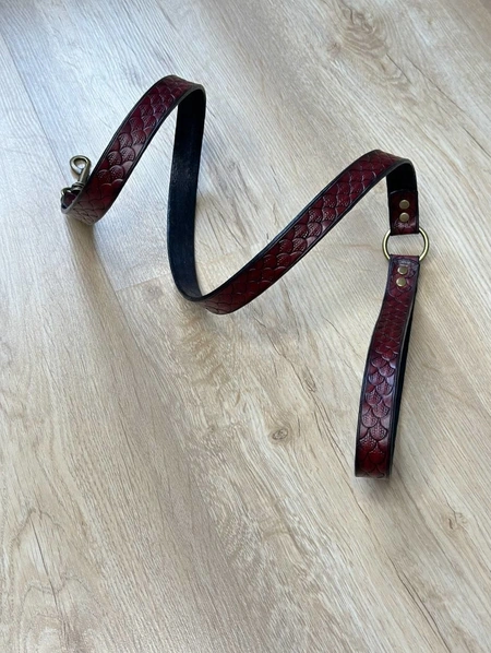 Čoker i reljefni kožni povodac