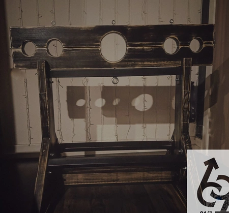 Koza 2 u 1( koza + prenosiva kolodka)