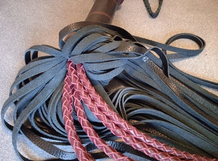 Mačka-flogger Bordo