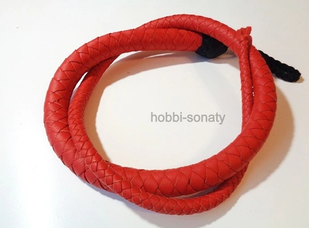 Pletenica: zmija Crveni Zmaj