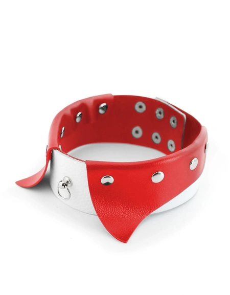 Ogrlica Erotic ovratnik-Choker sa povodcem za BDSM