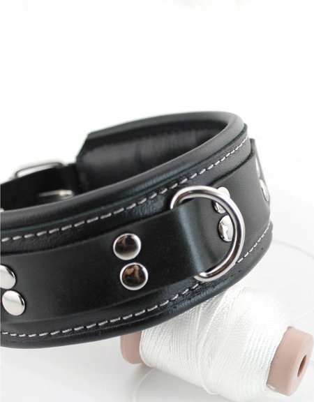 Premium ovratnik je mekan sa povodcem i kukama za lisice