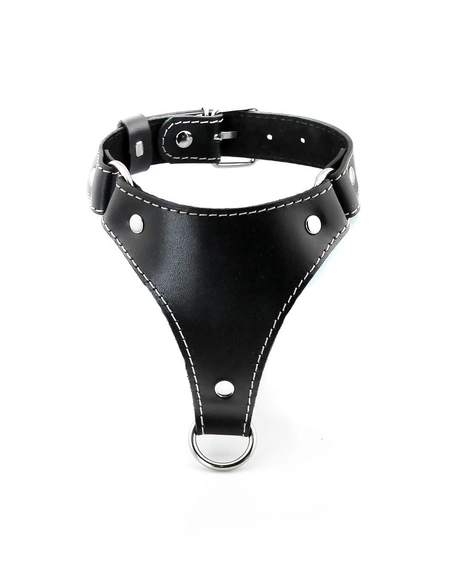 Ogrlica sa povodcem bdsm erotska 18+