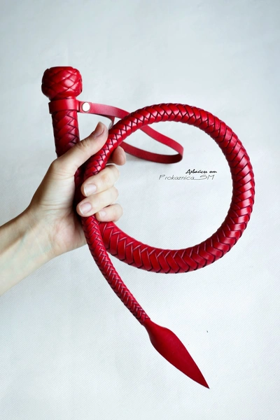 Pljačka jednorepa zmija