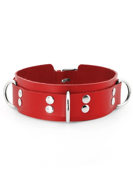 Bdsm ogrlica sa povodcem i hvataljkama za lisice za igranje uloga