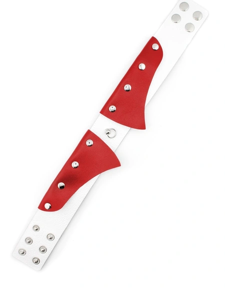 Ogrlica Erotic ovratnik-Choker sa povodcem za BDSM