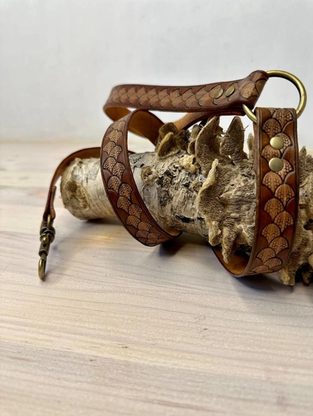 Reljefni kožni povodac