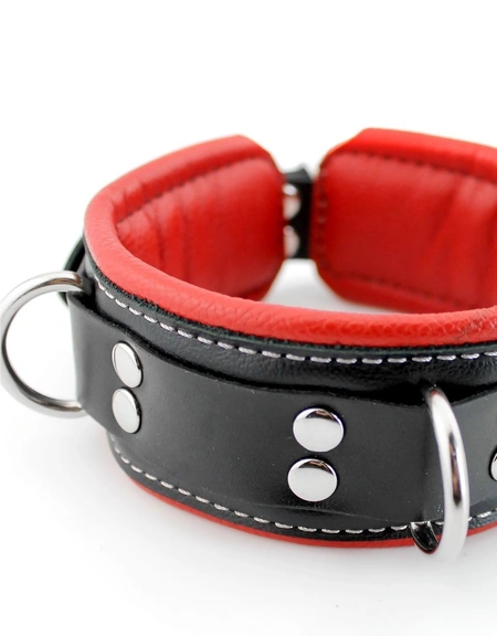 Premium ovratnik je mekan sa povodcem i kukama za lisice