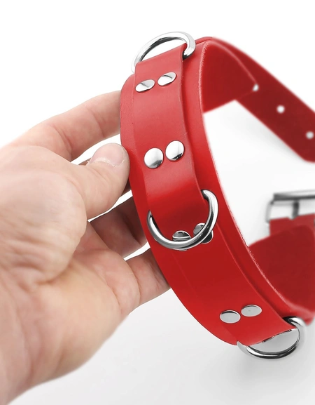 Bdsm ogrlica sa povodcem i hvataljkama za lisice za igranje uloga