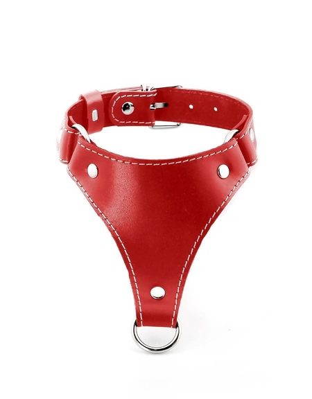 Kopija proizvoda ogrlica sa povodcem bdsm Erotic 18+