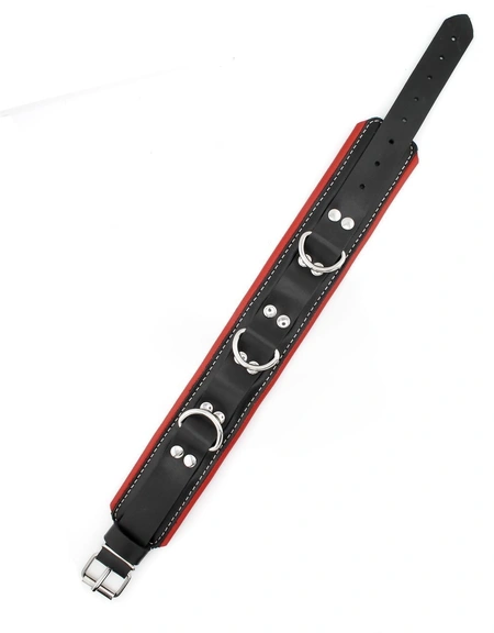 Premium ovratnik je mekan sa povodcem i kukama za lisice