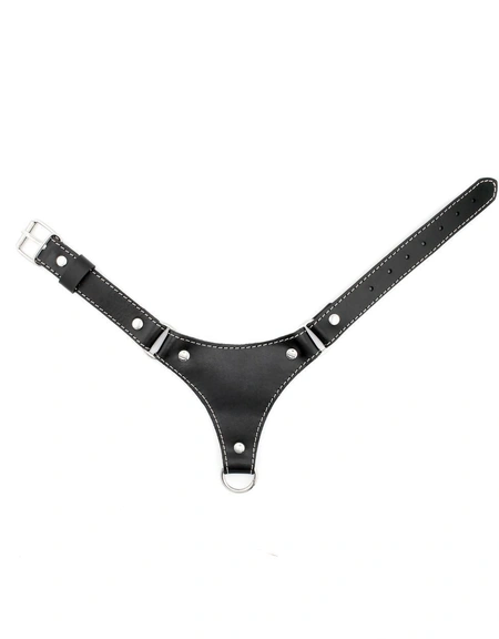 Ogrlica sa povodcem bdsm erotska 18+