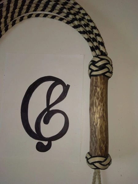 BDSM uređaj mačka Prugasta