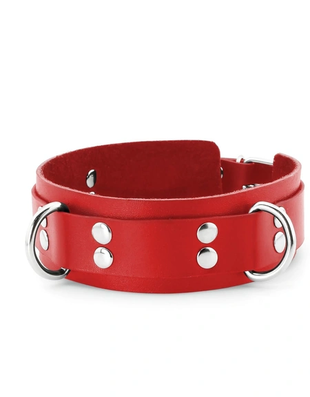 Bdsm ogrlica sa povodcem i hvataljkama za lisice za igranje uloga