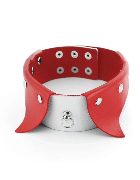 Ogrlica Erotic ovratnik-Choker sa povodcem za BDSM