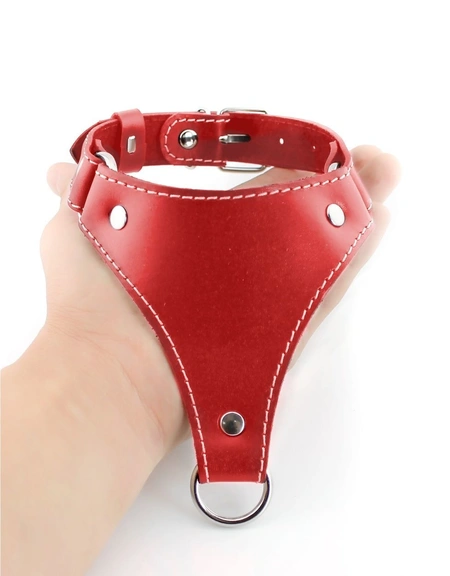 Kopija proizvoda ogrlica sa povodcem bdsm Erotic 18+