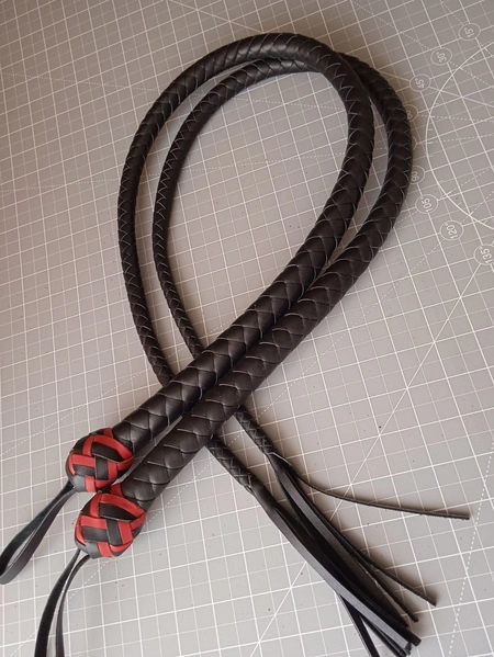 Parni flogeri i zmije