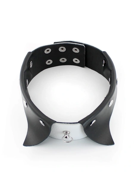 Ogrlica Erotic ovratnik-Choker sa povodcem za BDSM