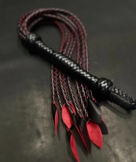 Pletenica: bdsm mačka