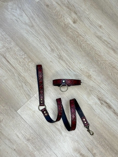 Čoker i reljefni kožni povodac