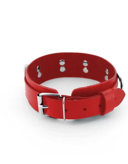 Bdsm ogrlica sa povodcem i hvataljkama za lisice za igranje uloga