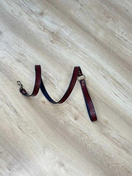 Čoker i reljefni kožni povodac