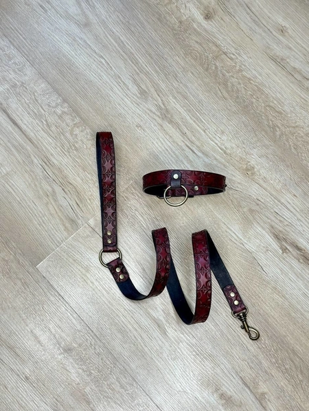 Čoker i reljefni kožni povodac