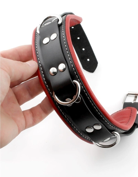 Premium ovratnik je mekan sa povodcem i kukama za lisice