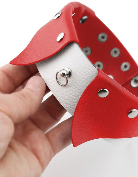 Ogrlica Erotic ovratnik-Choker sa povodcem za BDSM