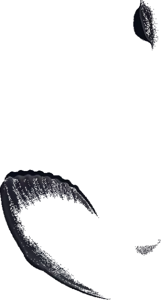 Vibracioni stimulator prostate sa Erotist Mounto daljinskim upravljačem, silikon, crni, 13,2 cm