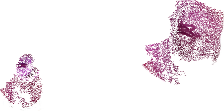 Stimulans klitoris sa яzыčkom Love to Love DREAMER - IRIDESCENT BERRY