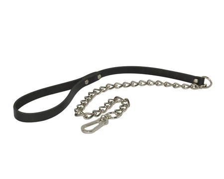 Povodac za ogrlicu (dužine. karabin)