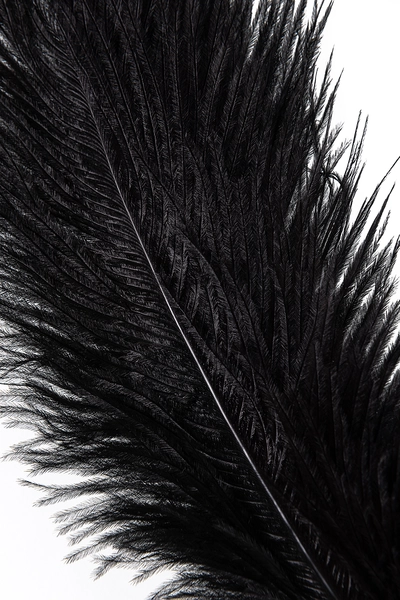 Flogger tickle Toifa Theatre, metal, zlato, 44 cm