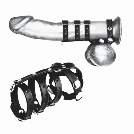 Tri remena po članu sa razdelnikom skrotuma