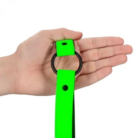 Geg sa metalnim prstenom-luminiscentno