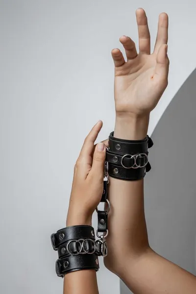 Lisice - sa dve trake i prstenima