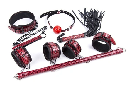 Komplet: okovirasporkaošeйnik sa povodkomklaplet