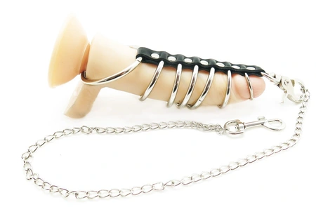 Skupljajući prstenove sa povodcem na falusu i skrotumu