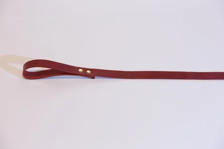 Povodac passion. red