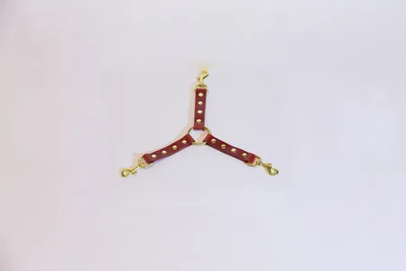 Fixacija oko 3 Karabina crvene boje