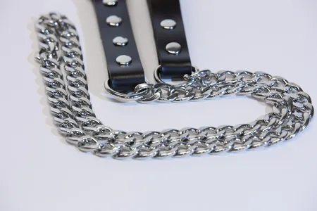 Povodac са ланцем submission