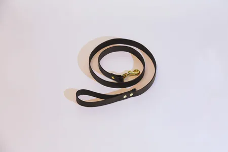 Povodac passion. black