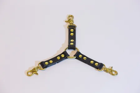 Fixiranije sa 3 Karabin kod crne kolice