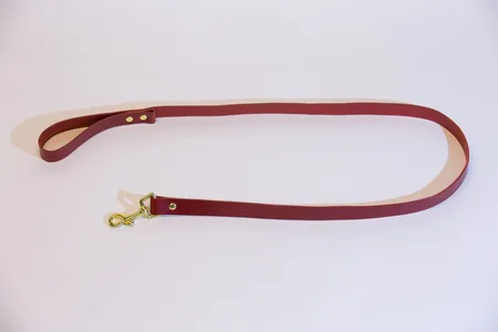 Povodac passion. red